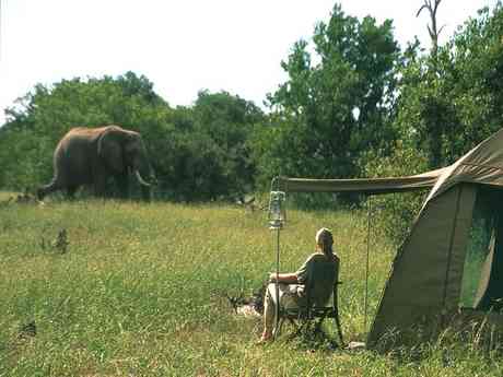Classic Botswana Explorer